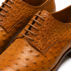 Aurelius Cognac Ostrich Leather Oxford Shoes