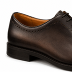Aureo Dark Brown Wholecut Oxford Shoes