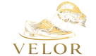 Translation missing: en.Velor accessibility.home